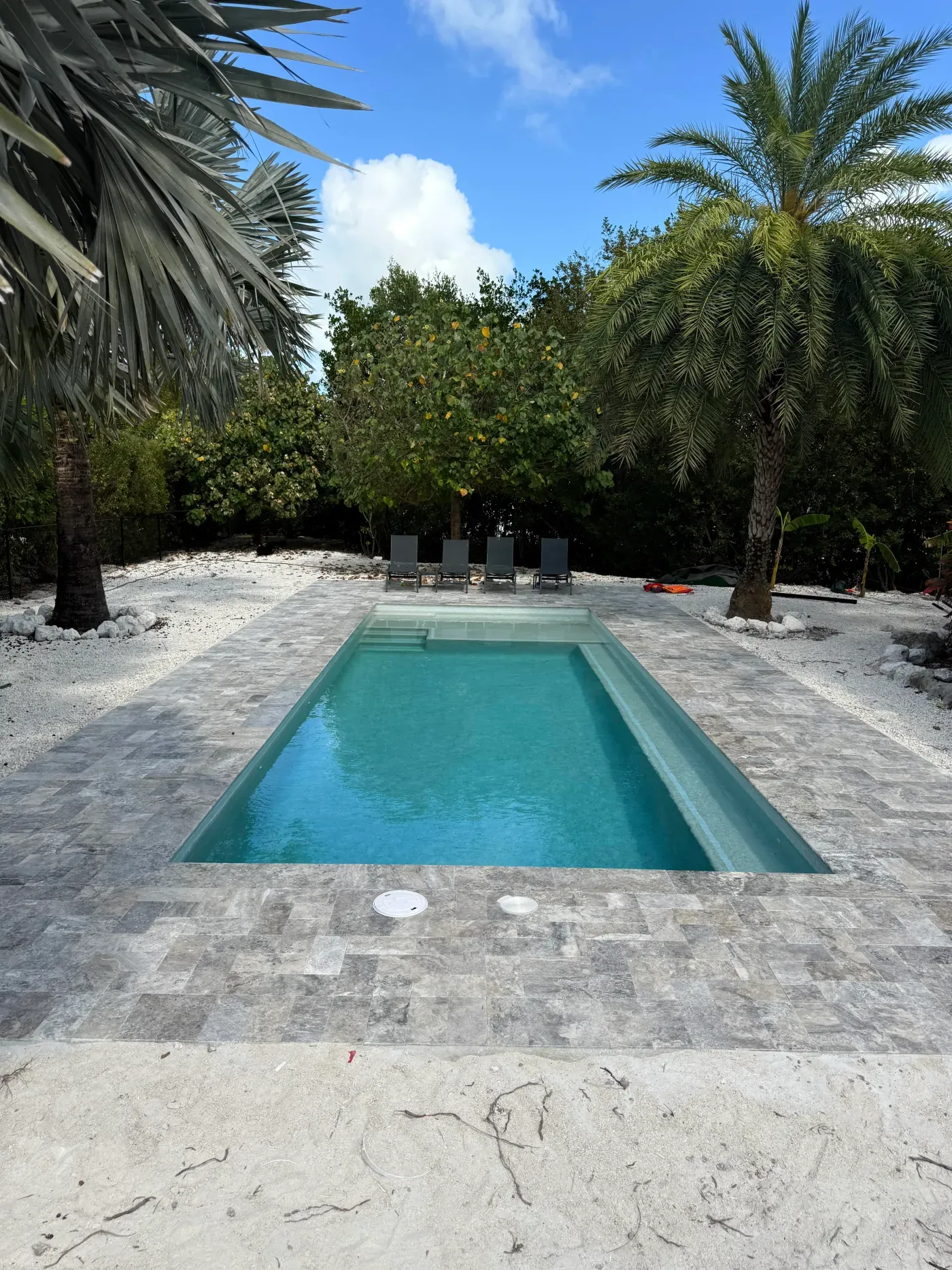 Sleek modern pool and spa with iridescent glass mosaic tile, sun shelf, and sea turtle mosaic accent