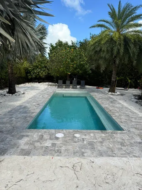 Small pool with stone pavers, tropical landscaping, and lounge chairs